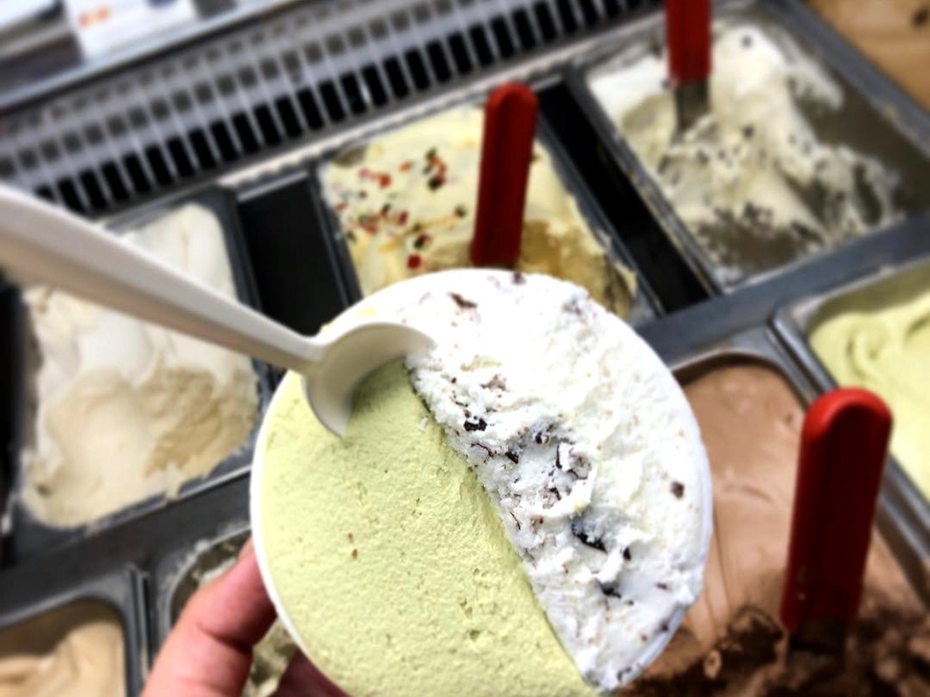 Cup of fresh pistachio and stracciatella gelato from Four Seasons Ice Cream